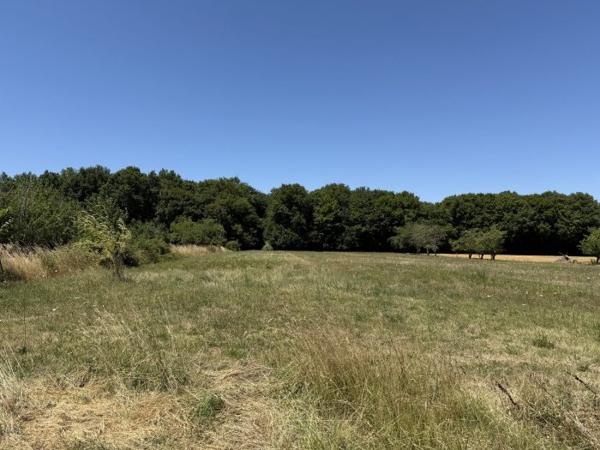 Maison plain-pied Saint-Fort-sur-Gironde 119 m²