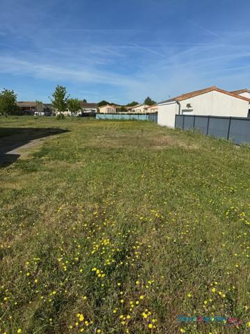 Terrain constructible