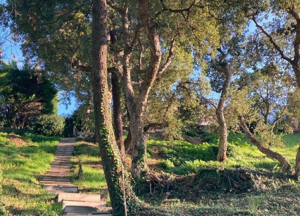 Maison à vendre    5 pièces • 231 m2 Vallauris