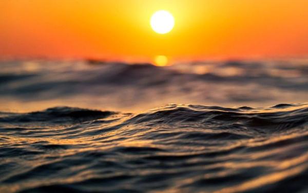 Maison à vendre    6 pièces • 175 m2 Soorts-Hossegor