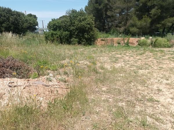 Terrain - 7993 m² Exclusivité efficity