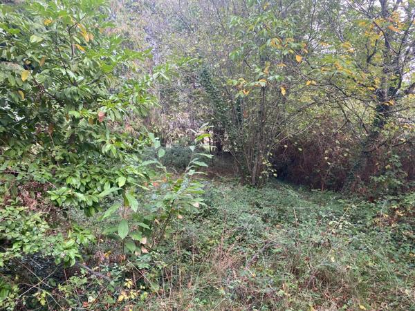 Achat - Maison | Maison à restaurer Chailland 53420 3 pièces 65 m 2 500 m 2