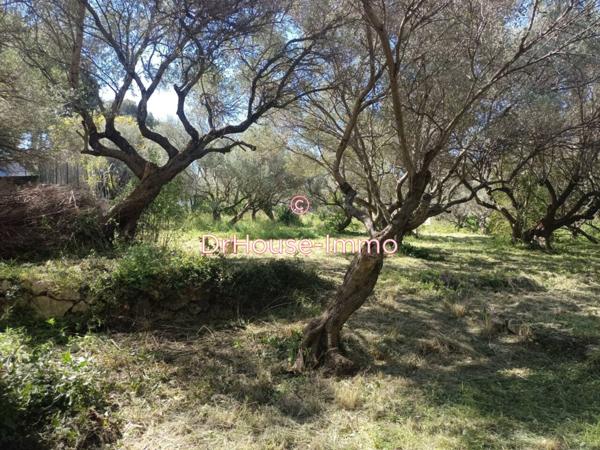 Terrain à vendre de 1 275 m²