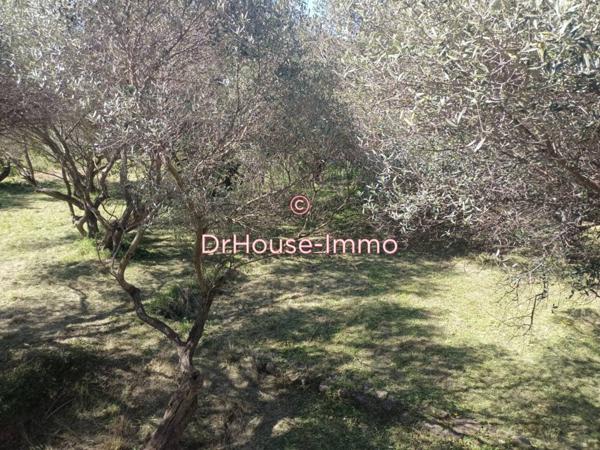 Terrain à vendre de 1 275 m²