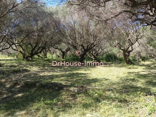 Terrain à vendre de 1 275 m²