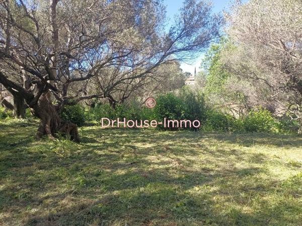 Terrain à vendre de 1 275 m²