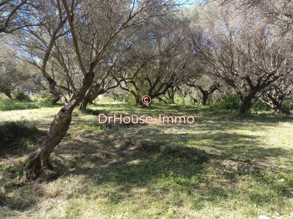 Terrain à vendre de 1 275 m²