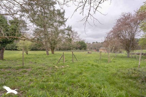 Maison à vendre 179 655 € Saint-Martin-de-Coux 5 p 147 m² DPE C
