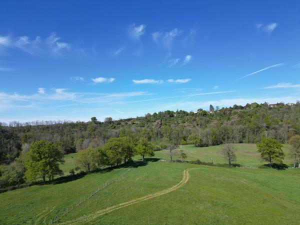 Superbe domaine comprenant 4 maisons dont une à finir et des dépendances sur 40 hectares de terres le long de la rivière