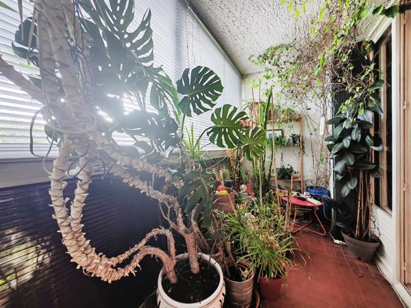 Montpellier (34080) MONTPELLIER - Maison en VIAGER - Occupé -