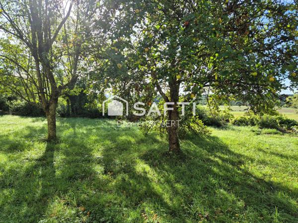 APPARTEMENT A RENOVER AVEC TERRAIN