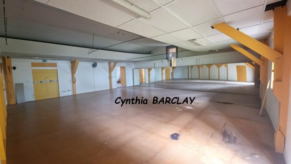 Locaux d'activité à SCHOELCHER (97233)