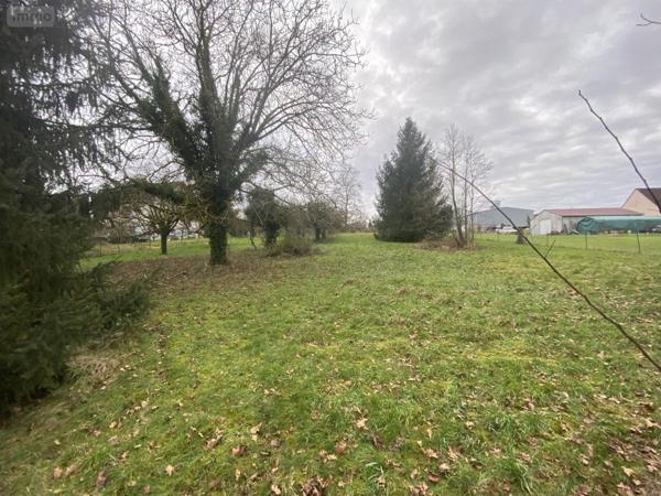 Terrain à Batir à vendre à Courtenay dans le Loiret (45320), ref : 45050-1345