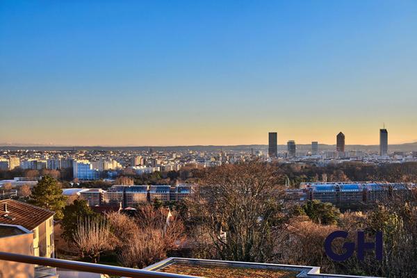 Toit Terrasse - Montessuy