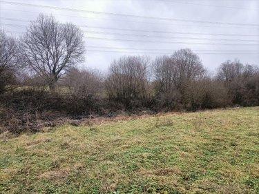 Terrain de loisirs - Bois - Etang à vendre à Rouffigny dans la Manche (50800), ref : 50038-2617