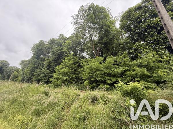 Terrain à vendre 35 024 m² Vernou-sur-Brenne