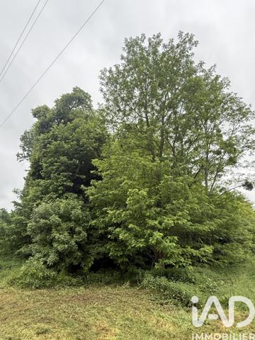 Terrain à vendre 35 024 m² Vernou-sur-Brenne