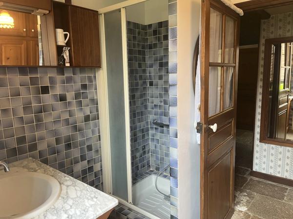 Semur-en-Auxois 20min: maison de caractère avec gîte, 265m², 9 pièces,6 chambres,terrain 2500m²,annexes.Prix:370 000€.