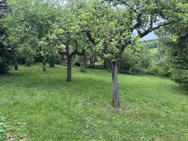 Semur-en-Auxois 20min: maison de caractère avec gîte, 265m², 9 pièces,6 chambres,terrain 2500m²,annexes.Prix:370 000€.