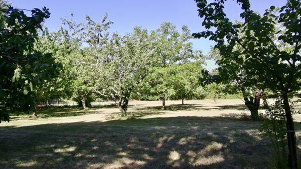 MANOIR