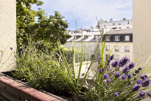 Appartement Paris 7 e - BABYLONE / VANEAU