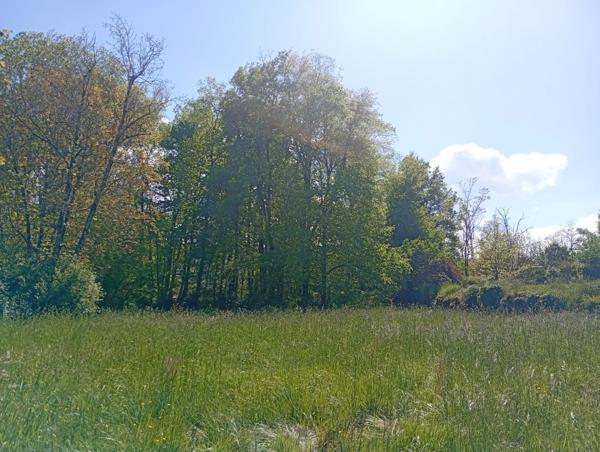 Terrain à vendre CRAMPAGNA (09)