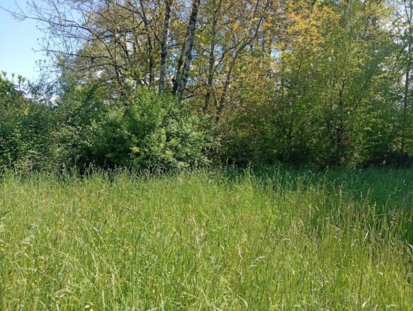 Terrain à vendre CRAMPAGNA (09)