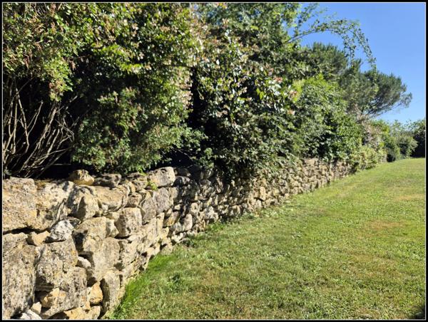 EXCLUSIVITE OPTIMHOME, MAISON CAMPAGNE 5 CHAMBRES, AVEC JARDIN CLOTURE et PISCINE