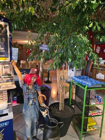 Fonds de commerce à vendre proche de CHALLANS (85)