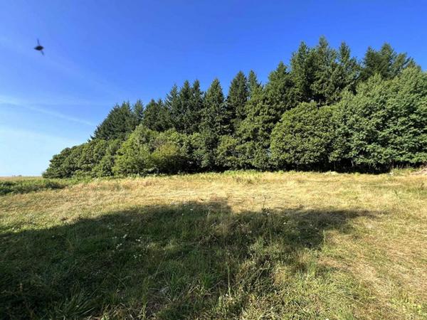 Maison Saint Yrieix La Perche 5 pièce(s) 100 m2