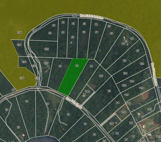 Lot de 2 Parcelles La Comté (A) Loisir