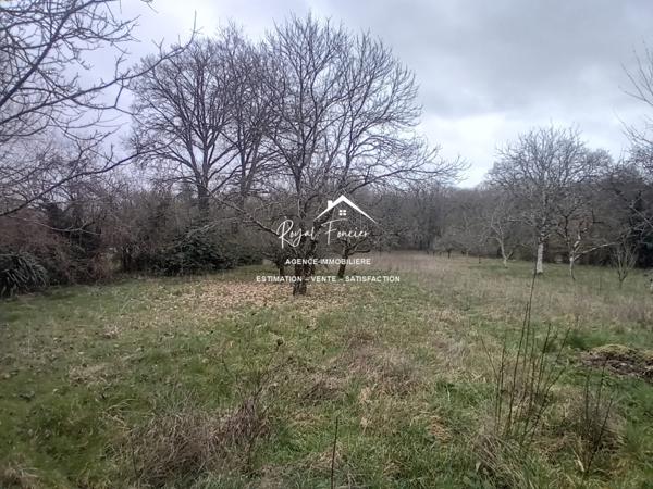 Vue sur le parc, avec des accès