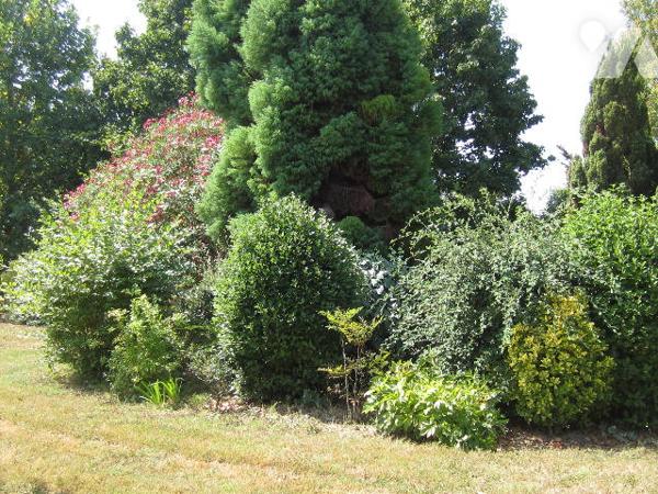 VILLA TYPE 6 avec dépendances, parc arboré et piscine