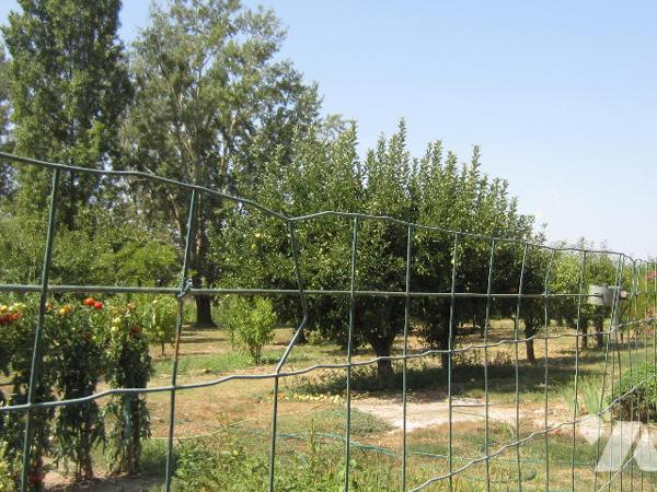 VILLA TYPE 6 avec dépendances, parc arboré et piscine