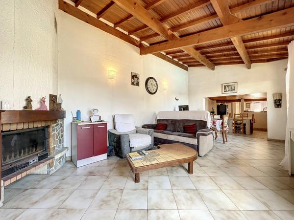 Dpt Hérault (34), à vendre maison P6 de 131 m² - divisée en 2 appartements - Plain pied - Terrasse de 95 m2 - Cave - 5 parkings