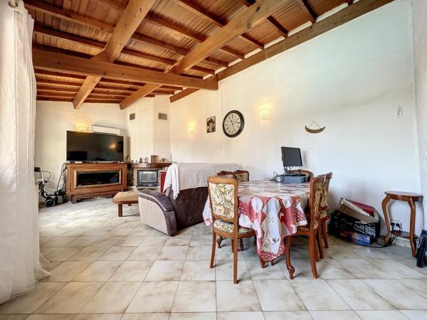 Dpt Hérault (34), à vendre maison P6 de 131 m² - divisée en 2 appartements - Plain pied - Terrasse de 95 m2 - Cave - 5 parkings