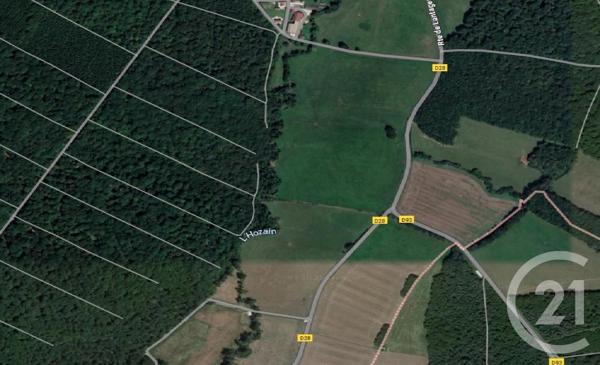 Terrain à vendre  12670 m2 RUMILLY LES VAUDES - 10