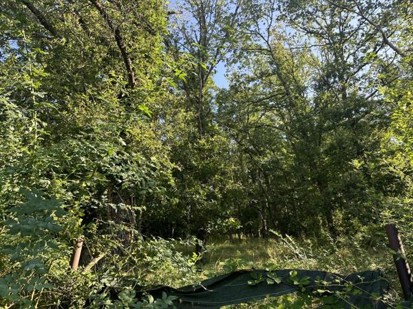 Vente Terrain115 m² - BRUERE ALLICHAMPS (18200)