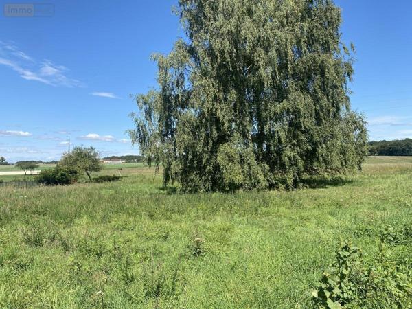 Terrain à Batir à vendre à Amilly dans le Loiret (45200), ref : 45050-1354