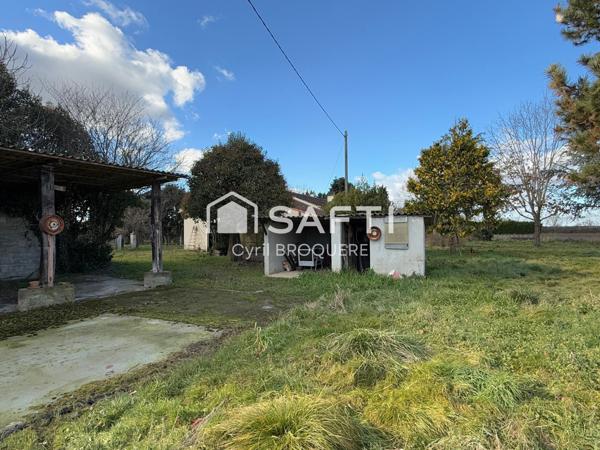 Maison 100m2 parcelle 3700m2