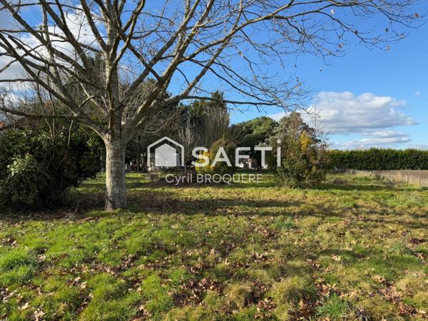 Maison 100m2 parcelle 3700m2