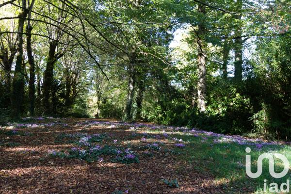 Maison à vendre 7 pièces 249 m² Saint-Léonard-de-Noblat