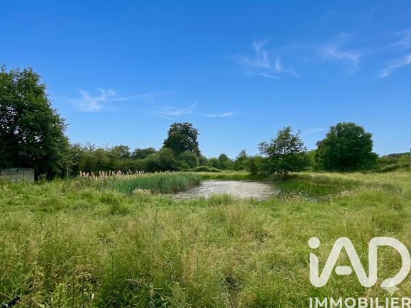 Terrain à vendre 4 819 m² Brée