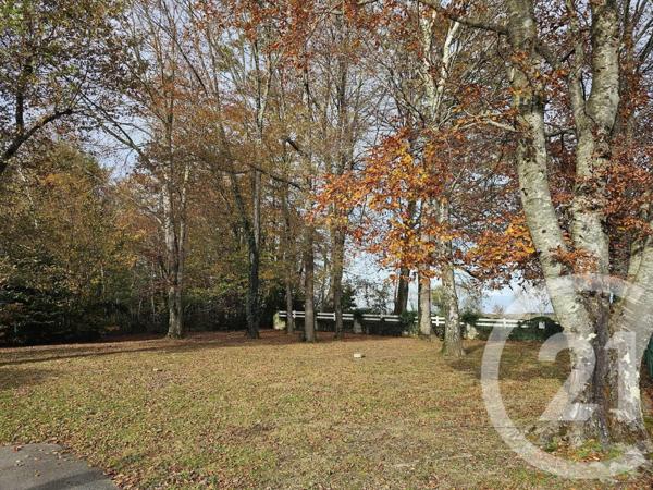 Maison à vendre  7 pièces - 252,28 m2 TILHOUSE - 65