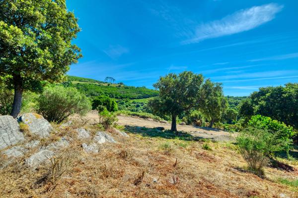 Vente Terrain Constructible  3600 m² Vue Mer Bastia
