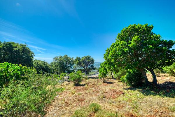 Vente Terrain Constructible  3600 m² Vue Mer Bastia