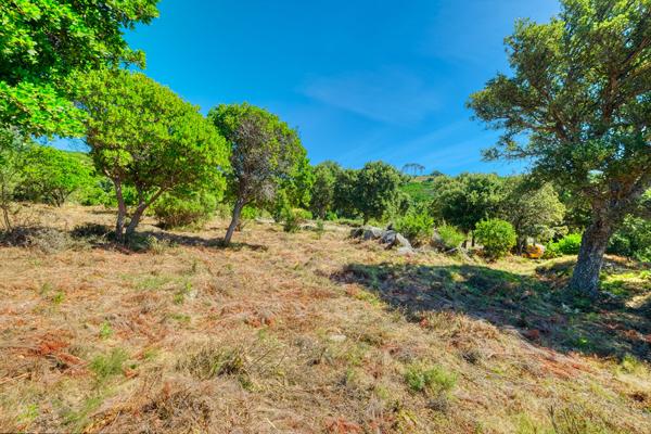 Vente Terrain Constructible  3600 m² Vue Mer Bastia