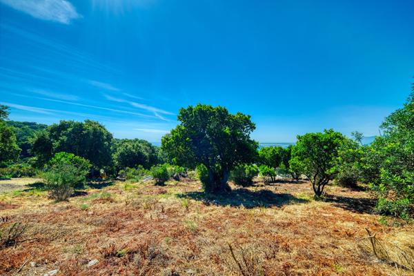 Vente Terrain Constructible  3600 m² Vue Mer Bastia