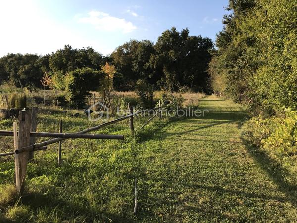 ÉLÉGANCE, HISTOIRE ET NATURE… UN DOMAINE D'EXCEPTION AU CŒUR DU LOT-ET-GARONNE

À seulement 45 minutes d'Agen, entre Bordeaux et Toulouse, se dévoile une propriété rare où le temps semble suspendu.

Au bout d'une majestueuse allée bordée de pins parasols, un parc de près de 4 hectares mêlant bois, prairie, vallon et source naturelle entoure un remarquable ensemble immobilier composé d'un logis du XVIIIᵉ siècle, d'un pavillon du XVIᵉ siècle et de nombreuses dépendances.

Dès l'entrée, le charme opère. Escalier monumental en pierre, cheminées d'époque, boiseries, parquets anciens, tomettes et volumes généreux témoignent du caractère authentique de cette demeure. Les pièces de réception baignées de lumière, la bibliothèque, les cuisines et les nombreuses chambres offrent un cadre de vie chaleureux et prestigieux.

Le pavillon indépendant, entièrement rénové, dispose de deux chambres avec salles d'eau privatives, d'une cuisine équipée, de beaux espaces de vie ainsi que d'un bureau installé dans une authentique tour en pierre. Un espace idéal pour accueillir famille, amis, une activité libérale ou développer un projet touristique.

Les anciennes écuries, le garage et les dépendances laissent entrevoir un potentiel remarquable pour la création de gîtes, d'espaces de réception ou d'un lieu dédié à l'événementiel.

De nombreux travaux structurels ont déjà été réalisés : réfection des toitures, micro-station récente, drainage périphérique, réseaux d'eau et d'électricité modernisés, permettant aux futurs propriétaires de poursuivre la rénovation dans les meilleures conditions.

Cette propriété séduira les passionnés de patrimoine en quête d'une résidence de caractère, mais aussi les investisseurs souhaitant développer une activité d'accueil haut de gamme, de chambres d'hôtes, de séminaires ou de mariages.

Un lieu chargé d'histoire, offrant un cadre naturel exceptionnel et un potentiel rare, où chaque pierre raconte plusieurs siècles d'histoire.

Une visite suffit pour comprendre que cette propriété ne ressemble à aucune autre.