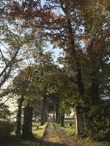 ÉLÉGANCE, HISTOIRE ET NATURE… UN DOMAINE D'EXCEPTION AU CŒUR DU LOT-ET-GARONNE

À seulement 45 minutes d'Agen, entre Bordeaux et Toulouse, se dévoile une propriété rare où le temps semble suspendu.

Au bout d'une majestueuse allée bordée de pins parasols, un parc de près de 4 hectares mêlant bois, prairie, vallon et source naturelle entoure un remarquable ensemble immobilier composé d'un logis du XVIIIᵉ siècle, d'un pavillon du XVIᵉ siècle et de nombreuses dépendances.

Dès l'entrée, le charme opère. Escalier monumental en pierre, cheminées d'époque, boiseries, parquets anciens, tomettes et volumes généreux témoignent du caractère authentique de cette demeure. Les pièces de réception baignées de lumière, la bibliothèque, les cuisines et les nombreuses chambres offrent un cadre de vie chaleureux et prestigieux.

Le pavillon indépendant, entièrement rénové, dispose de deux chambres avec salles d'eau privatives, d'une cuisine équipée, de beaux espaces de vie ainsi que d'un bureau installé dans une authentique tour en pierre. Un espace idéal pour accueillir famille, amis, une activité libérale ou développer un projet touristique.

Les anciennes écuries, le garage et les dépendances laissent entrevoir un potentiel remarquable pour la création de gîtes, d'espaces de réception ou d'un lieu dédié à l'événementiel.

De nombreux travaux structurels ont déjà été réalisés : réfection des toitures, micro-station récente, drainage périphérique, réseaux d'eau et d'électricité modernisés, permettant aux futurs propriétaires de poursuivre la rénovation dans les meilleures conditions.

Cette propriété séduira les passionnés de patrimoine en quête d'une résidence de caractère, mais aussi les investisseurs souhaitant développer une activité d'accueil haut de gamme, de chambres d'hôtes, de séminaires ou de mariages.

Un lieu chargé d'histoire, offrant un cadre naturel exceptionnel et un potentiel rare, où chaque pierre raconte plusieurs siècles d'histoire.

Une visite suffit pour comprendre que cette propriété ne ressemble à aucune autre.